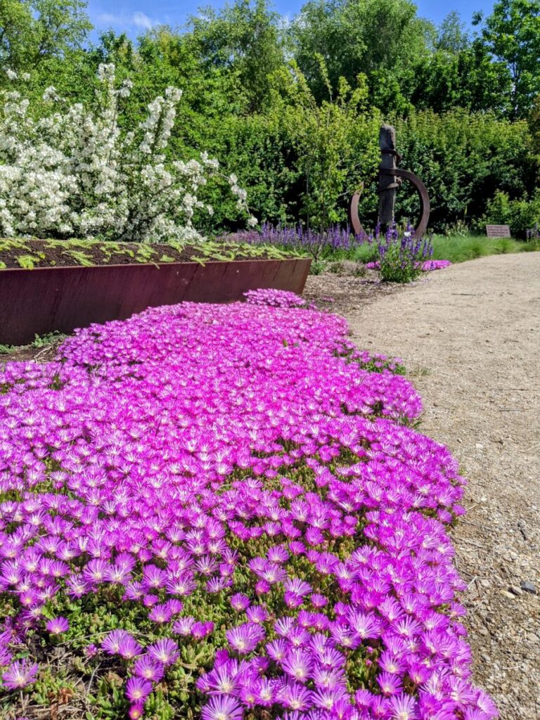 Idaho Botanical Garden