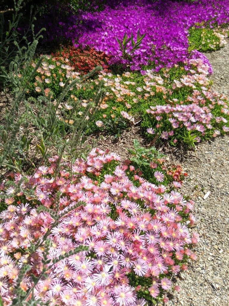 Idaho Botanical Garden