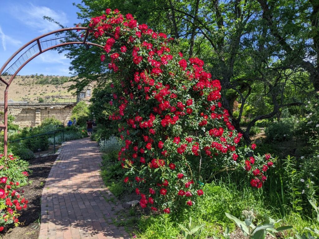 Idaho Botanical Garden