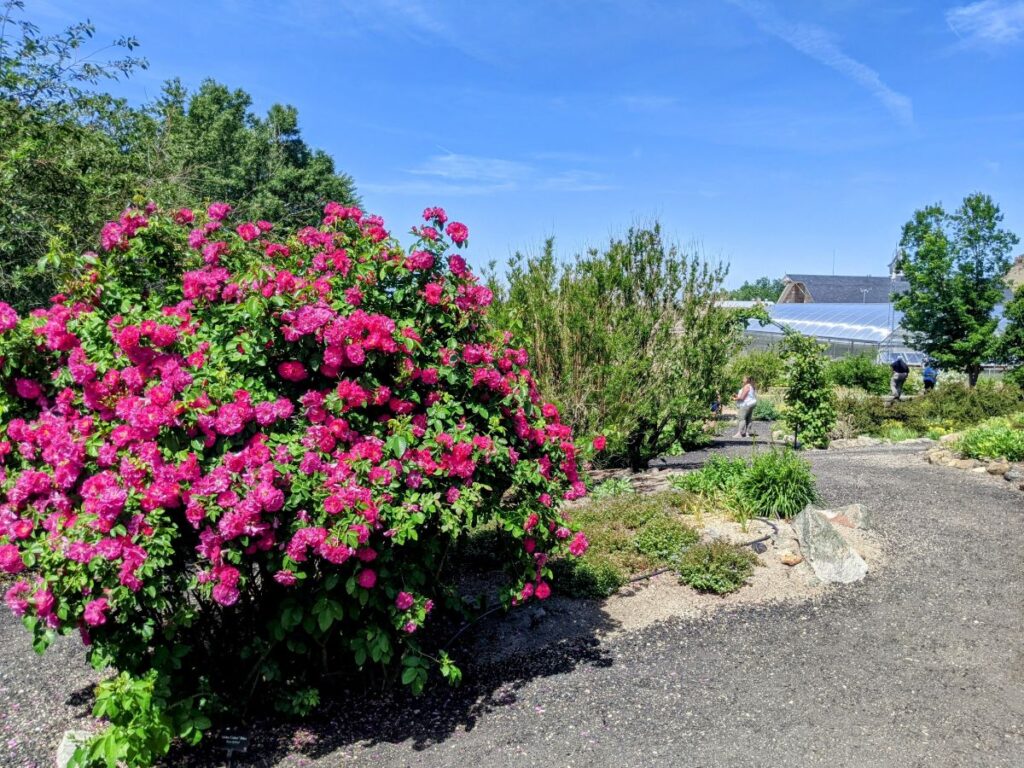 Idaho Botanical Garden