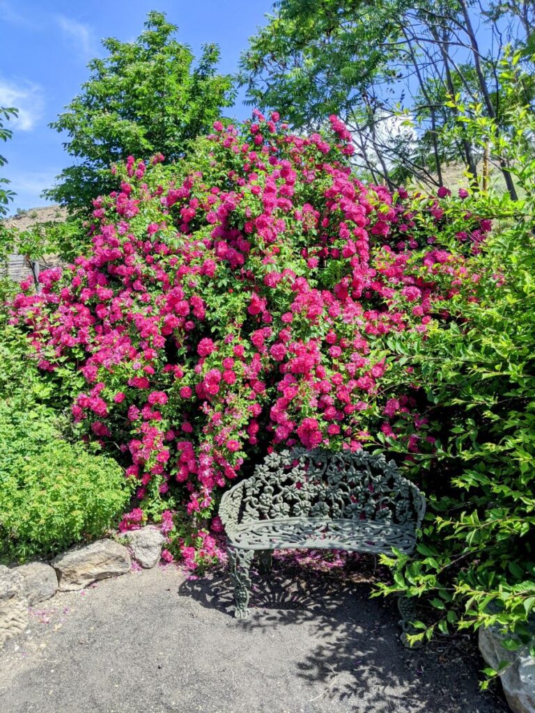 Idaho Botanical Garden