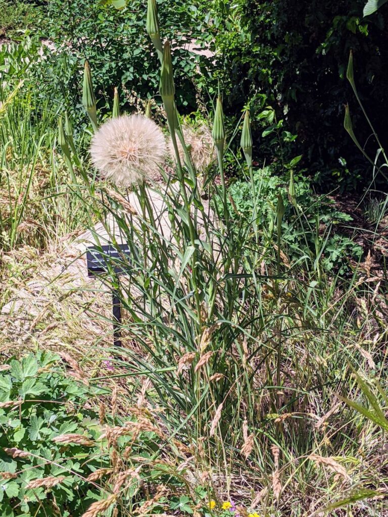 Idaho Botanical Garden