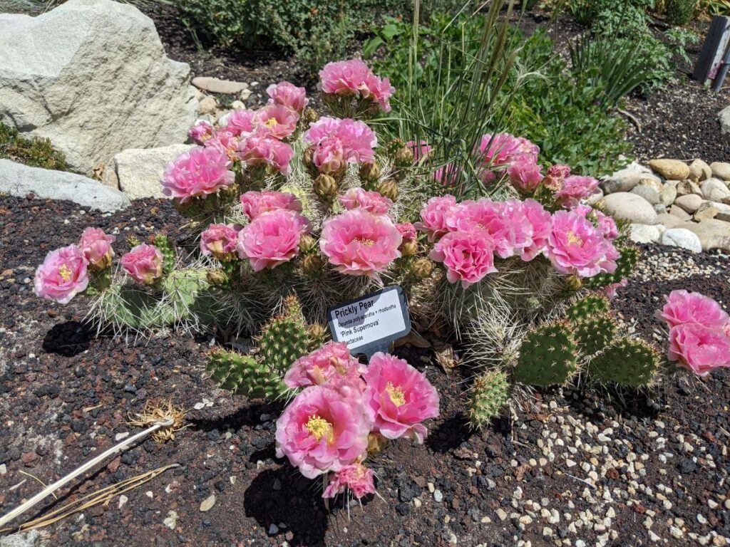 Idaho Botanical Garden