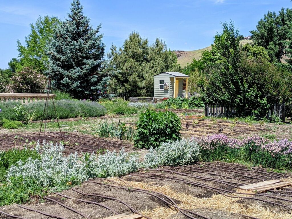 Idaho Botanical Garden