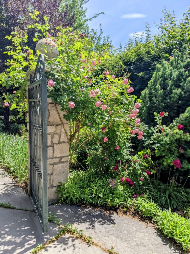 Idaho Botanical Garden