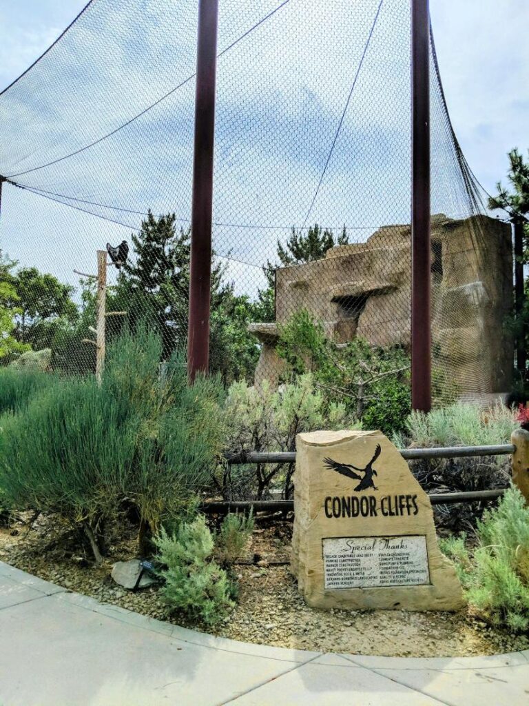 Peregrine Fund World Center for Birds of Prey