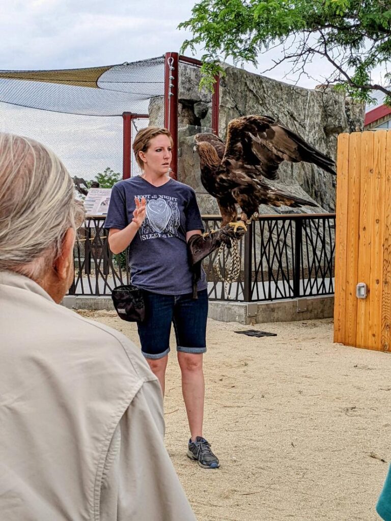 Peregrine Fund World Center for Birds of Prey