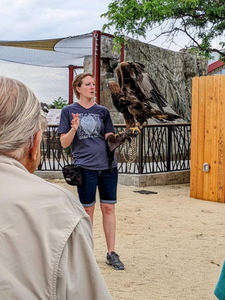 Peregrine Fund World Center for Birds of Prey