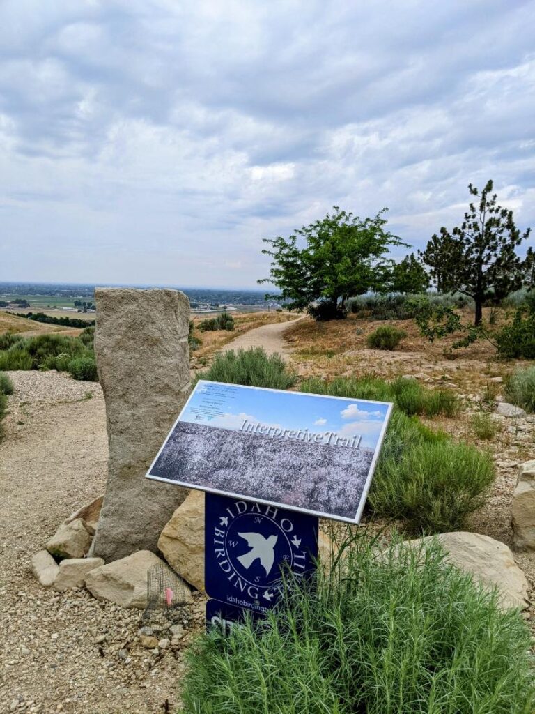 Peregrine Fund World Center for Birds of Prey