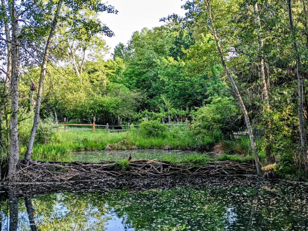 A month in Boise - the Boise River Greenbelt