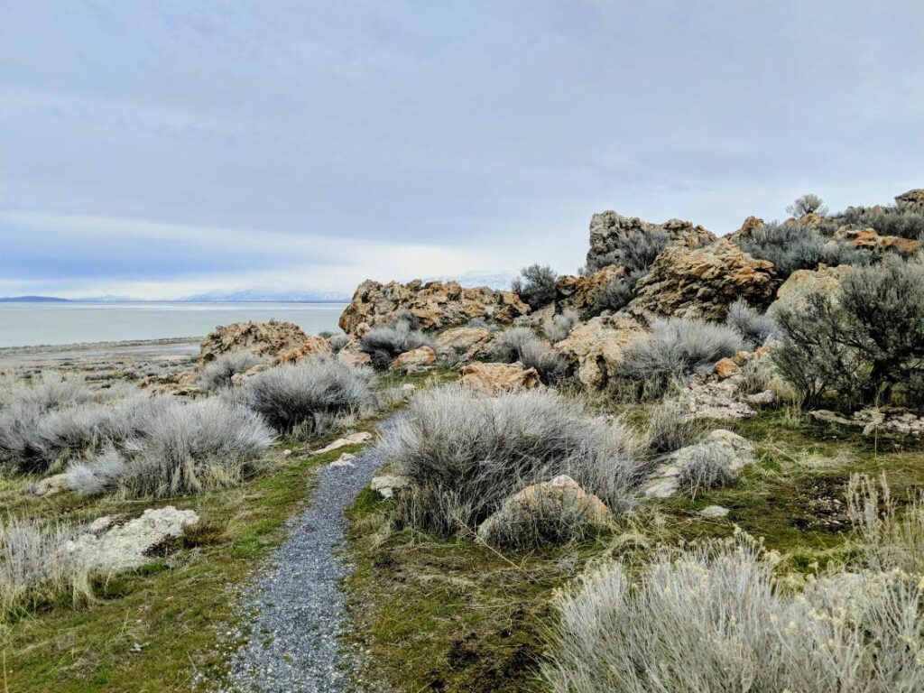 Antelope Island Great Salt Lake