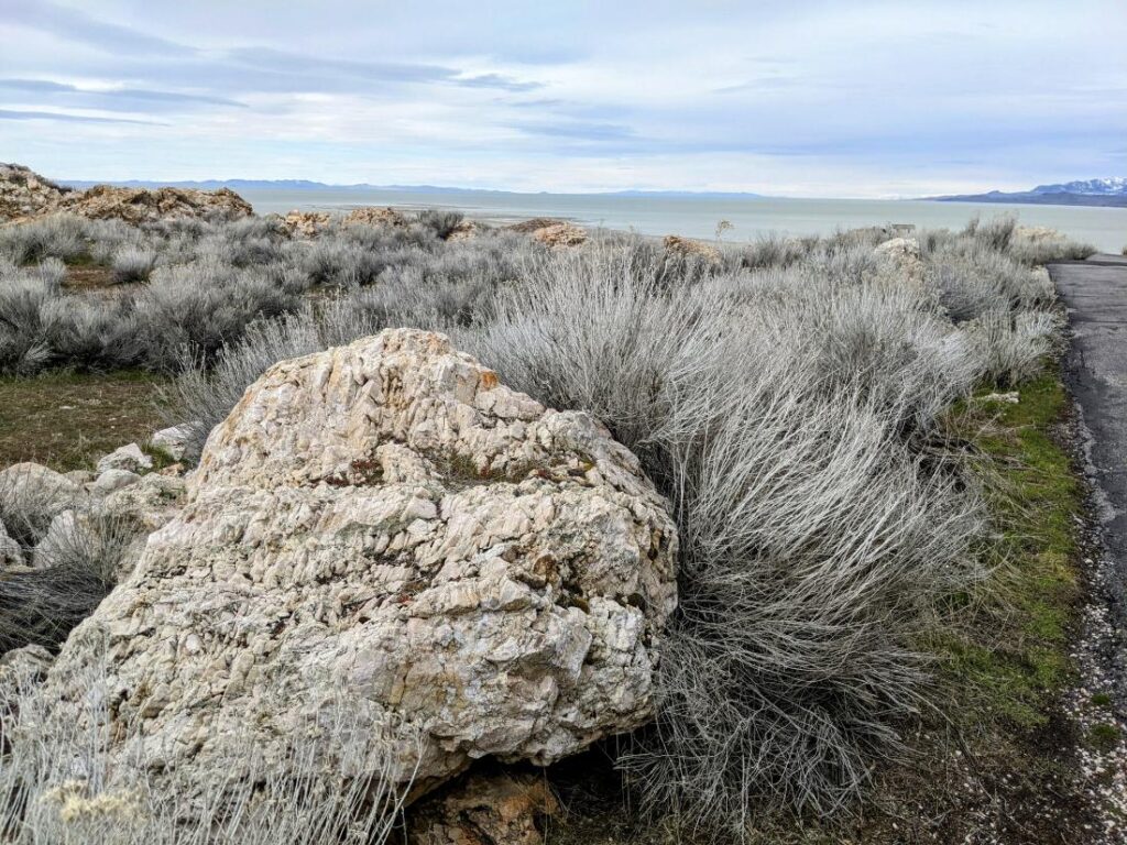 Antelope Island Great Salt Lake