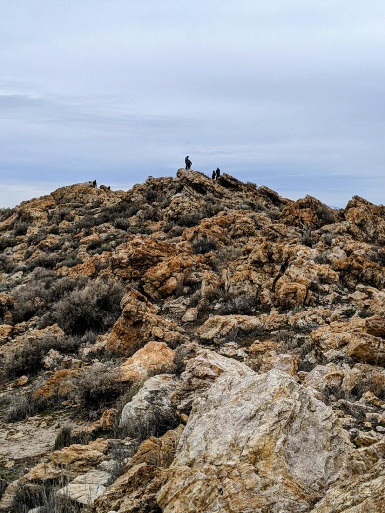 Antelope Island Great Salt Lake