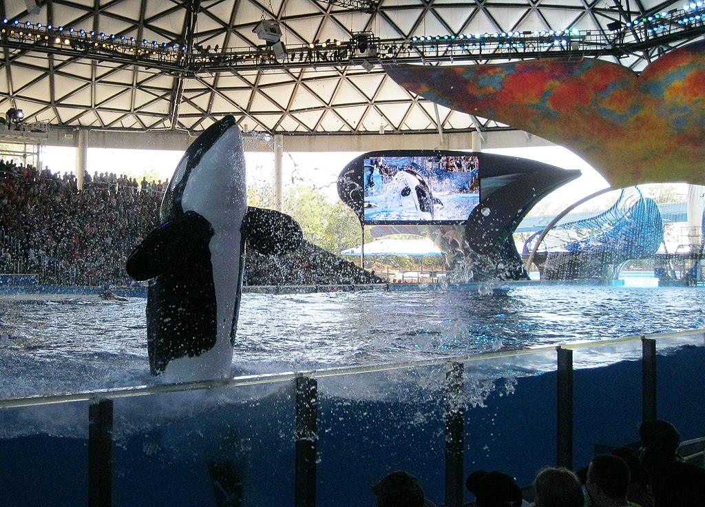 Roller Coasters in Texas - SeaWorld San Antonio