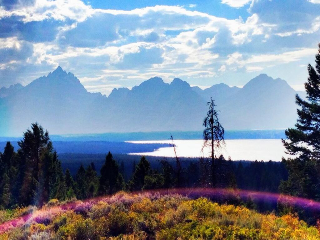 Roller Coasters in Wyoming